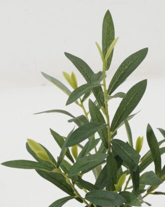 Artificial Table Plants 25*25*35cm Olive *7 in PP pot GS-16822101 Potted Flowers&Plants YeahFlower is one of Chinese leading OEM manufacturers and exporters , supplying the silk flowers, wholesale artificial trees Artificial Table Plants 25*25*35cm Olive *7 in PP pot GS-16822101 Potted Flowers&Plants YeahFlower is one of Chinese leading OEM manufacturers and exporters , supplying the silk flowers, wholesale artificial trees