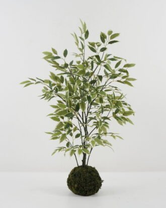 Artificial Tree 85cm 6 inch grass ball mini white border banyan GS-30422063 Tree&Plant YeahFlower is one of Chinese leading OEM manufacturers and exporters , supplying the silk flowers, wholesale artificial trees Artificial Tree 85cm 6 inch grass ball mini white border banyan GS-30422063 Tree&Plant YeahFlower is one of Chinese leading OEM manufacturers and exporters , supplying the silk flowers, wholesale artificial trees
