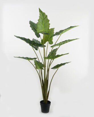 Artificial Tree 80*75*160cm Alocasia in PP pot GS-67722014 Tree&Plant YeahFlower is one of Chinese leading OEM manufacturers and exporters , supplying the silk flowers, wholesale artificial trees Artificial Tree 80*75*160cm Alocasia in PP pot GS-67722014 Tree&Plant YeahFlower is one of Chinese leading OEM manufacturers and exporters , supplying the silk flowers, wholesale artificial trees