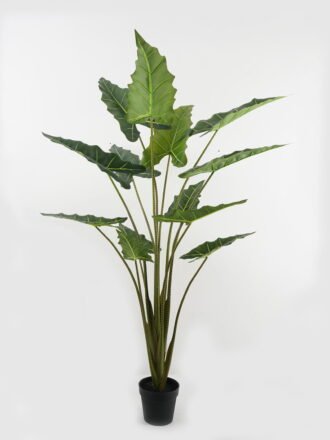Artificial Tree 75*70*140cm Alocasia in PP pot GS-67722015 Tree&Plant 3,000+ sqm showroom with thousands of artificial flowers, plants & trees ready for global sourcing.