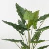 Artificial Tree 80*75*160cm Alocasia in PP pot GS-67722014 Tree&Plant YeahFlower is one of Chinese leading OEM manufacturers and exporters , supplying the silk flowers, wholesale artificial trees