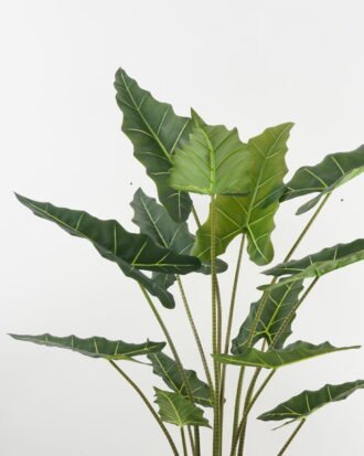 Artificial Tree 80*75*160cm Alocasia in PP pot GS-67722014 Tree&Plant YeahFlower is one of Chinese leading OEM manufacturers and exporters , supplying the silk flowers, wholesale artificial trees Artificial Tree 80*75*160cm Alocasia in PP pot GS-67722014 Tree&Plant YeahFlower is one of Chinese leading OEM manufacturers and exporters , supplying the silk flowers, wholesale artificial trees