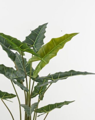 Artificial Tree 75*70*140cm Alocasia in PP pot GS-67722015 Tree&Plant YeahFlower is one of Chinese leading OEM manufacturers and exporters , supplying the silk flowers, wholesale artificial trees Artificial Tree 75*70*140cm Alocasia in PP pot GS-67722015 Tree&Plant YeahFlower is one of Chinese leading OEM manufacturers and exporters , supplying the silk flowers, wholesale artificial trees