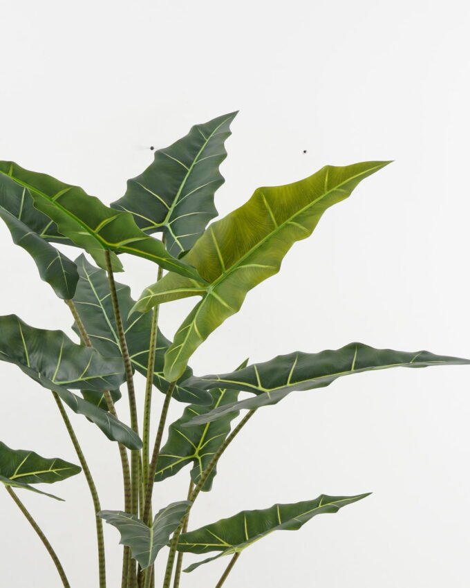 Artificial Tree 75*70*140cm Alocasia in PP pot GS-67722015 Tree&Plant YeahFlower is one of Chinese leading OEM manufacturers and exporters , supplying the silk flowers, wholesale artificial trees