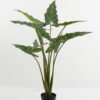 Artificial Tree 70*60*120cm Alocasia in PP pot GS-67722016 Tree&Plant YeahFlower is one of Chinese leading OEM manufacturers and exporters , supplying the silk flowers, wholesale artificial trees