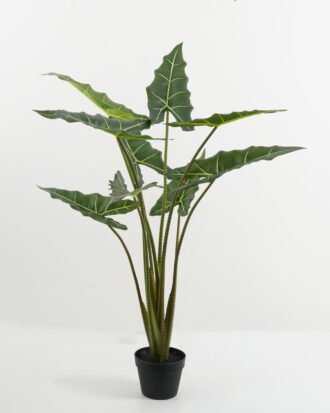 Artificial Tree 70*60*120cm Alocasia in PP pot GS-67722016 Tree&Plant YeahFlower is one of Chinese leading OEM manufacturers and exporters , supplying the silk flowers, wholesale artificial trees Artificial Tree 70*60*120cm Alocasia in PP pot GS-67722016 Tree&Plant YeahFlower is one of Chinese leading OEM manufacturers and exporters , supplying the silk flowers, wholesale artificial trees