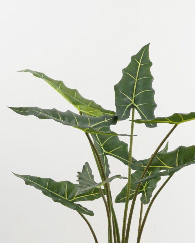 Artificial Tree 70*60*120cm Alocasia in PP pot GS-67722016 Tree&Plant YeahFlower is one of Chinese leading OEM manufacturers and exporters , supplying the silk flowers, wholesale artificial trees