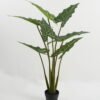 Artificial Tree 60*60*100cm Alocasia in PP pot GS-67722017 Tree&Plant YeahFlower is one of Chinese leading OEM manufacturers and exporters , supplying the silk flowers, wholesale artificial trees