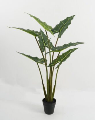 Artificial Tree 60*60*100cm Alocasia in PP pot GS-67722017 Tree&Plant YeahFlower is one of Chinese leading OEM manufacturers and exporters , supplying the silk flowers, wholesale artificial trees Artificial Tree 60*60*100cm Alocasia in PP pot GS-67722017 Tree&Plant YeahFlower is one of Chinese leading OEM manufacturers and exporters , supplying the silk flowers, wholesale artificial trees