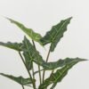 Artificial Tree 60*60*100cm Alocasia in PP pot GS-67722017 Tree&Plant YeahFlower is one of Chinese leading OEM manufacturers and exporters , supplying the silk flowers, wholesale artificial trees
