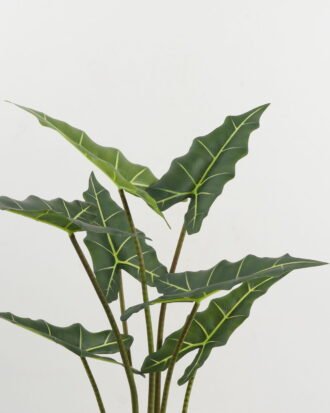 Artificial Tree 60*60*100cm Alocasia in PP pot GS-67722017 Tree&Plant YeahFlower is one of Chinese leading OEM manufacturers and exporters , supplying the silk flowers, wholesale artificial trees Artificial Tree 60*60*100cm Alocasia in PP pot GS-67722017 Tree&Plant YeahFlower is one of Chinese leading OEM manufacturers and exporters , supplying the silk flowers, wholesale artificial trees