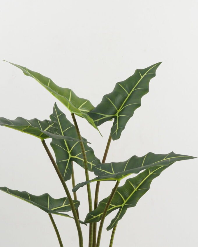 Artificial Tree 60*60*100cm Alocasia in PP pot GS-67722017 Tree&Plant YeahFlower is one of Chinese leading OEM manufacturers and exporters , supplying the silk flowers, wholesale artificial trees