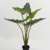Artificial Tree Alocasia in PP pot GS-67722018 Artificial Tree 55*55*80cm Alocasia in PP pot GS-67722018 Tree&Plant YeahFlower is one of Chinese leading OEM manufacturers and exporters , supplying the silk flowers, wholesale artificial trees