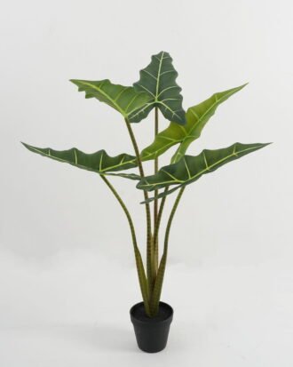 Artificial Tree 55*55*80cm Alocasia in PP pot GS-67722018 Tree&Plant YeahFlower is one of Chinese leading OEM manufacturers and exporters , supplying the silk flowers, wholesale artificial trees Artificial Tree 55*55*80cm Alocasia in PP pot GS-67722018 Tree&Plant YeahFlower is one of Chinese leading OEM manufacturers and exporters , supplying the silk flowers, wholesale artificial trees