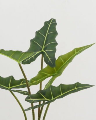 Artificial Tree 55*55*80cm Alocasia in PP pot GS-67722018 Tree&Plant YeahFlower is one of Chinese leading OEM manufacturers and exporters , supplying the silk flowers, wholesale artificial trees Artificial Tree 55*55*80cm Alocasia in PP pot GS-67722018 Tree&Plant YeahFlower is one of Chinese leading OEM manufacturers and exporters , supplying the silk flowers, wholesale artificial trees