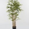 Artificial Tree Bamboo tree in PP pot GS-30622044_2 Artificial Tree 68*120cm Bamboo tree in PP pot GS-30622044 Tree&Plant YeahFlower is one of Chinese leading OEM manufacturers and exporters , supplying the silk flowers, wholesale artificial trees