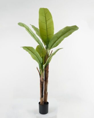 Artificial Tree 95*95*160cm Banana tree *2 in PP pot GS-67722013 Tree&Plant YeahFlower is one of Chinese leading OEM manufacturers and exporters , supplying the silk flowers, wholesale artificial trees Artificial Tree 95*95*160cm Banana tree *2 in PP pot GS-67722013 Tree&Plant YeahFlower is one of Chinese leading OEM manufacturers and exporters , supplying the silk flowers, wholesale artificial trees