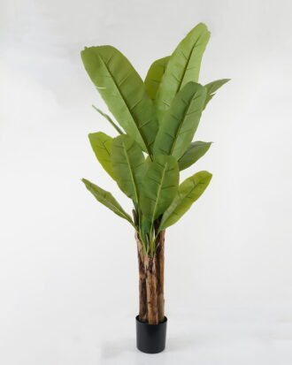 Artificial Tree 110*110*190cm Banana tree *3 in PP pot GS-67722012 Tree&Plant YeahFlower is one of Chinese leading OEM manufacturers and exporters , supplying the silk flowers, wholesale artificial trees Artificial Tree 110*110*190cm Banana tree *3 in PP pot GS-67722012 Tree&Plant YeahFlower is one of Chinese leading OEM manufacturers and exporters , supplying the silk flowers, wholesale artificial trees