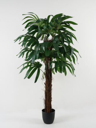Artificial Tree 68*68*210cm Olive Tree in PP pot GS-30422069 Tree&Plant 3,000+ sqm showroom with thousands of artificial flowers, plants & trees ready for global sourcing.