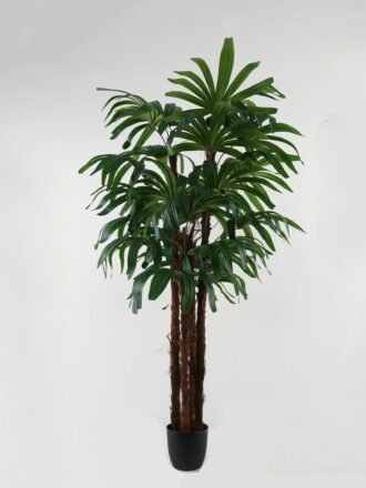 Artificial Tree 80*80*145cm Kwai tree *3 in PP pot GS-30422070 Tree&Plant 3,000+ sqm showroom with thousands of artificial flowers, plants & trees ready for global sourcing.