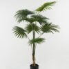 Artificial Tree Livistona chinensis in PP pot GS-67722006_6 Artificial Tree 80*80*158cm Livistona chinensis in PP pot GS-67722006 Tree&Plant YeahFlower is one of Chinese leading OEM manufacturers and exporters , supplying the silk flowers, wholesale artificial trees