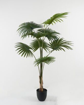 Artificial Tree 80*80*158cm Livistona chinensis in PP pot GS-67722006 Tree&Plant YeahFlower is one of Chinese leading OEM manufacturers and exporters , supplying the silk flowers, wholesale artificial trees Artificial Tree 80*80*158cm Livistona chinensis in PP pot GS-67722006 Tree&Plant YeahFlower is one of Chinese leading OEM manufacturers and exporters , supplying the silk flowers, wholesale artificial trees