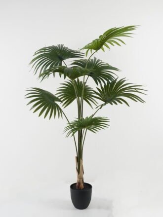 Artificial Tree 58*58*92cm Kwai leaf  in PP pot GS-59522121 Tree&Plant 3,000+ sqm showroom with thousands of artificial flowers, plants & trees ready for global sourcing.