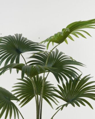 Artificial Tree 80*80*158cm Livistona chinensis in PP pot GS-67722006 Tree&Plant YeahFlower is one of Chinese leading OEM manufacturers and exporters , supplying the silk flowers, wholesale artificial trees Artificial Tree 80*80*158cm Livistona chinensis in PP pot GS-67722006 Tree&Plant YeahFlower is one of Chinese leading OEM manufacturers and exporters , supplying the silk flowers, wholesale artificial trees