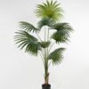 Artificial Tree 90*90*178cm Livistona chinensis in PP pot GS-67722007 Tree&Plant YeahFlower is one of Chinese leading OEM manufacturers and exporters , supplying the silk flowers, wholesale artificial trees