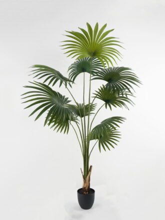 Artificial Tree 65*65*119*cm Livistona chinensis in PP pot GS-67722008 Tree&Plant 3,000+ sqm showroom with thousands of artificial flowers, plants & trees ready for global sourcing.