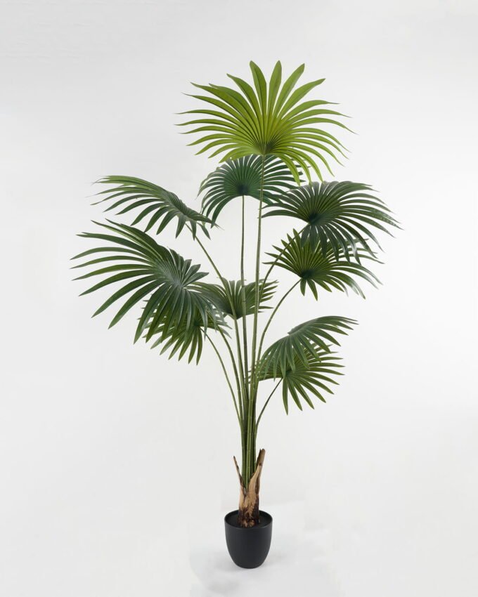 Artificial Tree 90*90*178cm Livistona chinensis in PP pot GS-67722007 Tree&Plant YeahFlower is one of Chinese leading OEM manufacturers and exporters , supplying the silk flowers, wholesale artificial trees