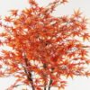 Artificial Tree Maple Leaf 8 in PP pot GS-30422124_6 Artificial Tree 105*105*180cm Maple Leaf *8 in PP pot GS-30422124 Tree&Plant YeahFlower is one of Chinese leading OEM manufacturers and exporters , supplying the silk flowers, wholesale artificial trees