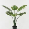Artificial Tree Monstera deliciosa in PP pot GS-67722019 Artificial Tree 50*50*85cm Monstera deliciosa in PP pot GS-67722019 Tree&Plant YeahFlower is one of Chinese leading OEM manufacturers and exporters , supplying the silk flowers, wholesale artificial trees