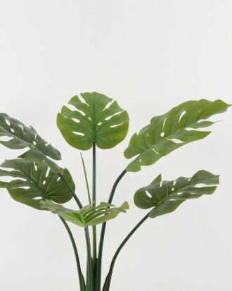 Artificial Tree 50*50*85cm Monstera deliciosa in PP pot GS-67722019 Tree&Plant YeahFlower is one of Chinese leading OEM manufacturers and exporters , supplying the silk flowers, wholesale artificial trees Artificial Tree 50*50*85cm Monstera deliciosa in PP pot GS-67722019 Tree&Plant YeahFlower is one of Chinese leading OEM manufacturers and exporters , supplying the silk flowers, wholesale artificial trees