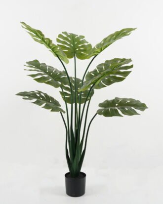 Artificial Tree 85*85*120cm Monstera deliciosa in PP pot GS-67722021 Tree&Plant YeahFlower is one of Chinese leading OEM manufacturers and exporters , supplying the silk flowers, wholesale artificial trees Artificial Tree 85*85*120cm Monstera deliciosa in PP pot GS-67722021 Tree&Plant YeahFlower is one of Chinese leading OEM manufacturers and exporters , supplying the silk flowers, wholesale artificial trees