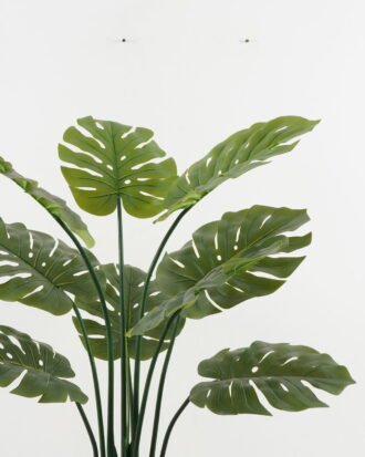 Artificial Tree 85*85*120cm Monstera deliciosa in PP pot GS-67722021 Tree&Plant YeahFlower is one of Chinese leading OEM manufacturers and exporters , supplying the silk flowers, wholesale artificial trees Artificial Tree 85*85*120cm Monstera deliciosa in PP pot GS-67722021 Tree&Plant YeahFlower is one of Chinese leading OEM manufacturers and exporters , supplying the silk flowers, wholesale artificial trees