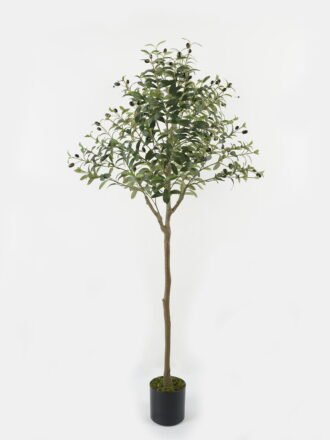 Artificial Tree 68*50*180cm Olive Tree *15  in PP pot GS-68522009KD Tree&Plant 3,000+ sqm showroom with thousands of artificial flowers, plants & trees ready for global sourcing.
