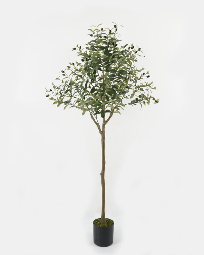 Artificial Tree 60*55*150cm Olive Tree *11  in PP pot GS-68522008KD Tree&Plant YeahFlower is one of Chinese leading OEM manufacturers and exporters , supplying the silk flowers, wholesale artificial trees
