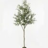 Artificial Tree Olive Tree 15 in PP pot GS-68522009KD_1 Artificial Tree 68*50*180cm Olive Tree *15 in PP pot GS-68522009KD Tree&Plant YeahFlower is one of Chinese leading OEM manufacturers and exporters , supplying the silk flowers, wholesale artificial trees