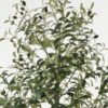 Artificial Tree Olive Tree 15 in PP pot GS-68522009KD_4 Artificial Tree 68*50*180cm Olive Tree *15 in PP pot GS-68522009KD Tree&Plant YeahFlower is one of Chinese leading OEM manufacturers and exporters , supplying the silk flowers, wholesale artificial trees