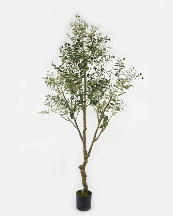 Artificial Tree 120*80*210cm Olive Tree *21  in PP pot GS-68522010KD Tree&Plant YeahFlower is one of Chinese leading OEM manufacturers and exporters , supplying the silk flowers, wholesale artificial trees