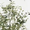 Artificial Tree Olive Tree 7 in PP pot GS-68522007KD_3 Artificial Tree 55*45*120cm Olive Tree *7 in PP pot GS-68522007KD Tree&Plant YeahFlower is one of Chinese leading OEM manufacturers and exporters , supplying the silk flowers, wholesale artificial trees