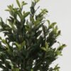 Artificial Tree 55*55*150cm Olive Tree in PP pot GS-30422067 Tree&Plant YeahFlower is one of Chinese leading OEM manufacturers and exporters , supplying the silk flowers, wholesale artificial trees