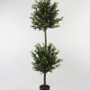 Artificial Tree 60*60*179cm Olive Tree in PP pot GS-30422068 Tree&Plant YeahFlower is one of Chinese leading OEM manufacturers and exporters , supplying the silk flowers, wholesale artificial trees