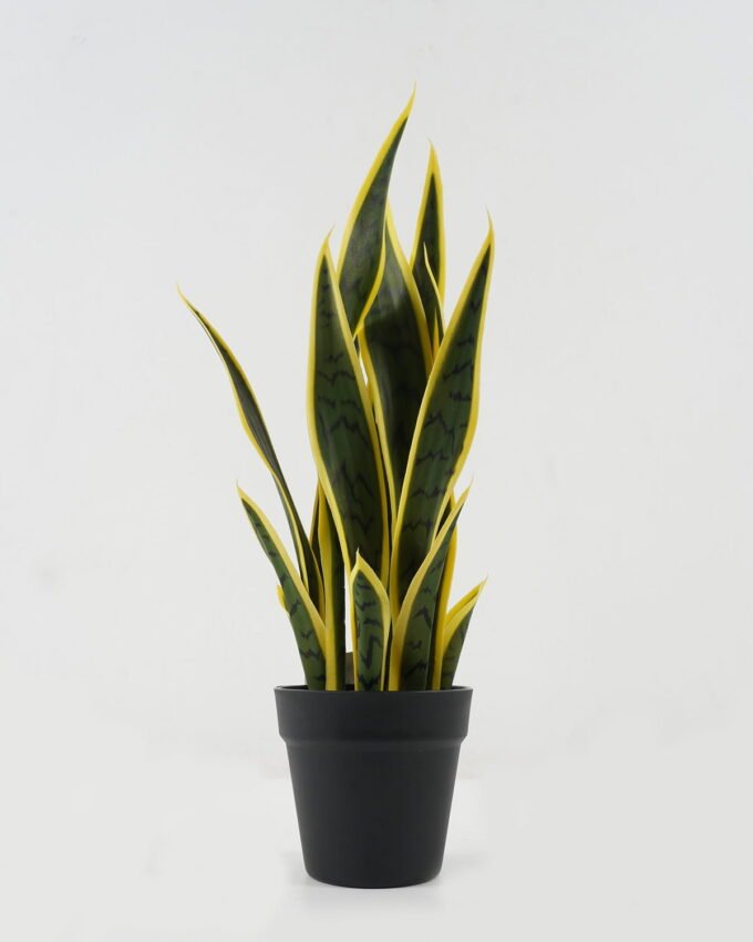 Artificial Tree 20*20*54cm Sansevieria *6 in PP pot GS-59522094 Tree&Plant YeahFlower is one of Chinese leading OEM manufacturers and exporters , supplying the silk flowers, wholesale artificial trees