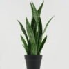 Artificial Tree 20*20*54cm Sansevieria *6 in PP pot GS-59522095 Tree&Plant YeahFlower is one of Chinese leading OEM manufacturers and exporters , supplying the silk flowers, wholesale artificial trees