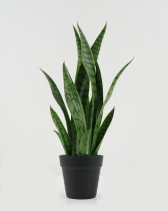 Artificial Tree 20*20*54cm Sansevieria *6 in PP pot GS-59522095 Tree&Plant YeahFlower is one of Chinese leading OEM manufacturers and exporters , supplying the silk flowers, wholesale artificial trees