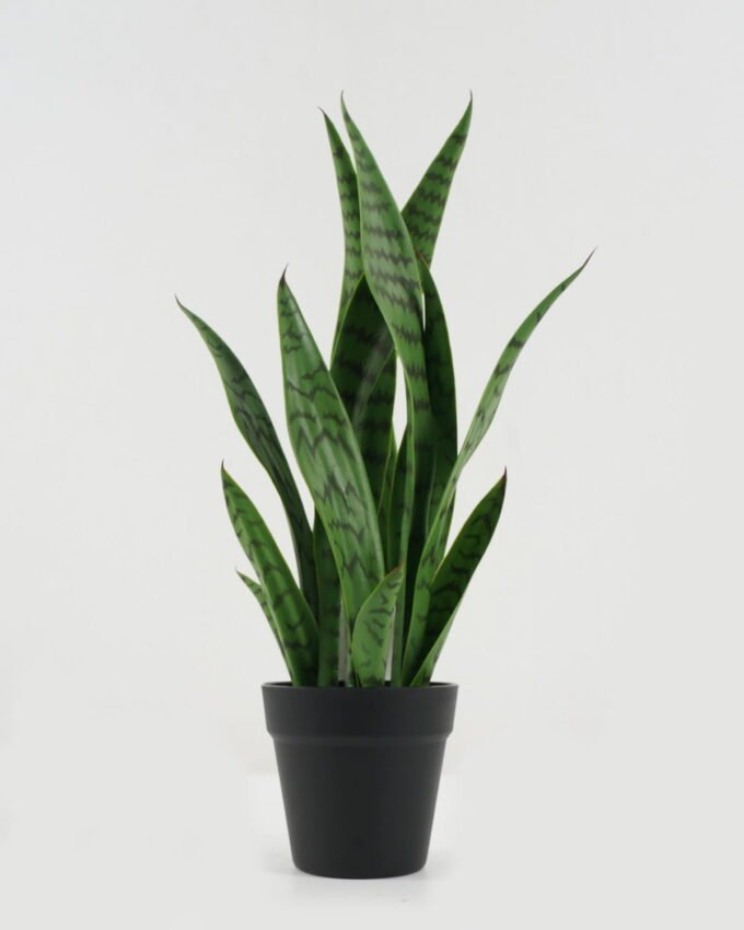 Artificial Tree 20*20*54cm Sansevieria *6 in PP pot GS-59522095 Tree&Plant YeahFlower is one of Chinese leading OEM manufacturers and exporters , supplying the silk flowers, wholesale artificial trees