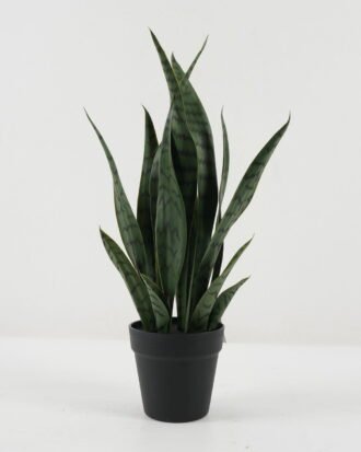 Artificial Tree 20*20*54cm Sansevieria *6 in PP pot GS-59522096 Tree&Plant YeahFlower is one of Chinese leading OEM manufacturers and exporters , supplying the silk flowers, wholesale artificial trees