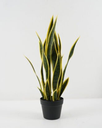 Artificial Tree 30*30*66cm Sansevieria *6 in PP pot GS-59522097 Tree&Plant YeahFlower is one of Chinese leading OEM manufacturers and exporters , supplying the silk flowers, wholesale artificial trees
